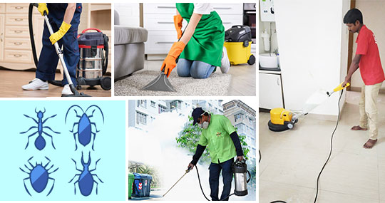 cleaning and pest control
